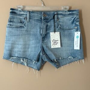 Cosmic Blue Jean Shorts